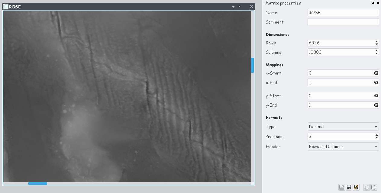ROSE data set imported into a matrix